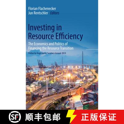 【3-4周达】Investing in Resource Efficiency : The Economics and Politics of Financing the Resource Tr... [9783030076689]