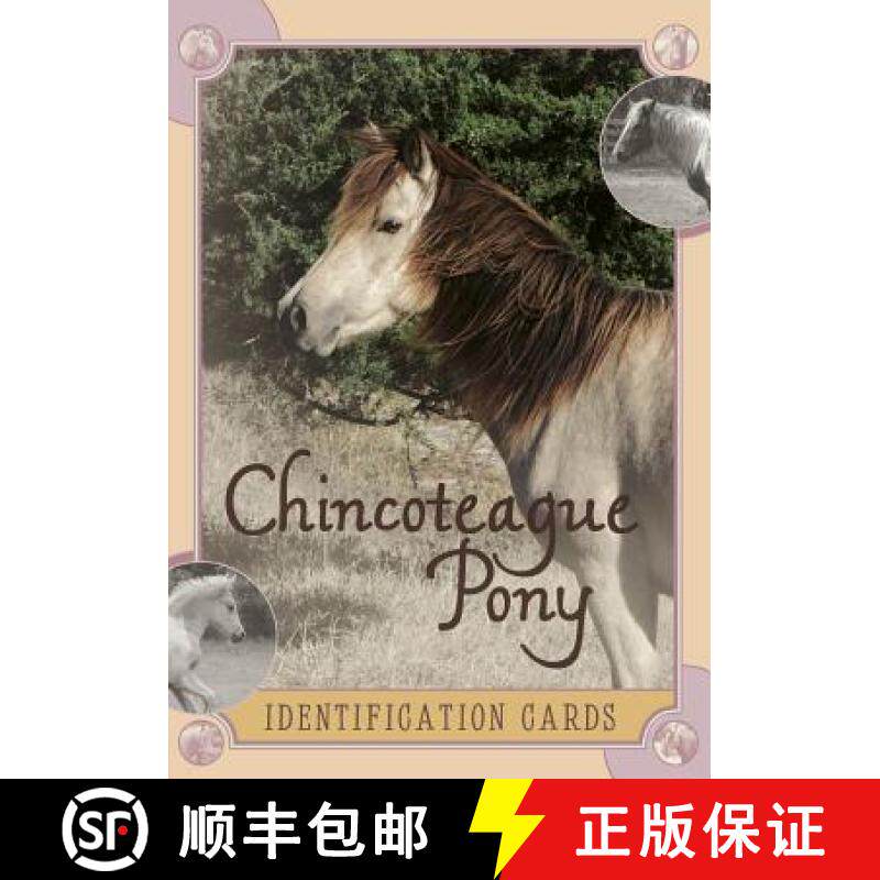 【3-4周达】Chincoteague Pony Identification Cards: Set 2: Set 2 [9780764347146]