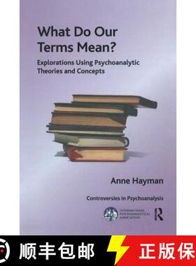 【3-4周达】What Do Our Terms Mean?: Explorations Using Psychoanalytic Theories and Concepts [9781780491837]