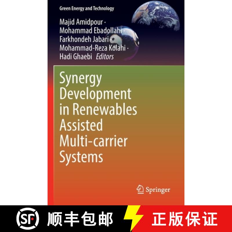 【3-4周达】Synergy Development in Renewables Assisted Multi-Carrier Systems [9783030907228]