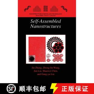 Nanostructures 4周达 Assembled 9781475787245 Self