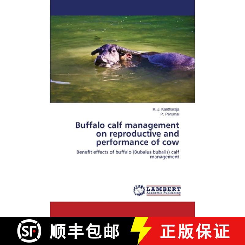 预订 Buffalo calf management on reproductive and performance of cow [9783659360909]