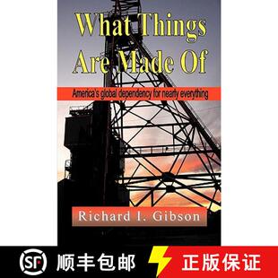 Made Just Are What About America Everything Global Things Dependency 4周达 9781609107642