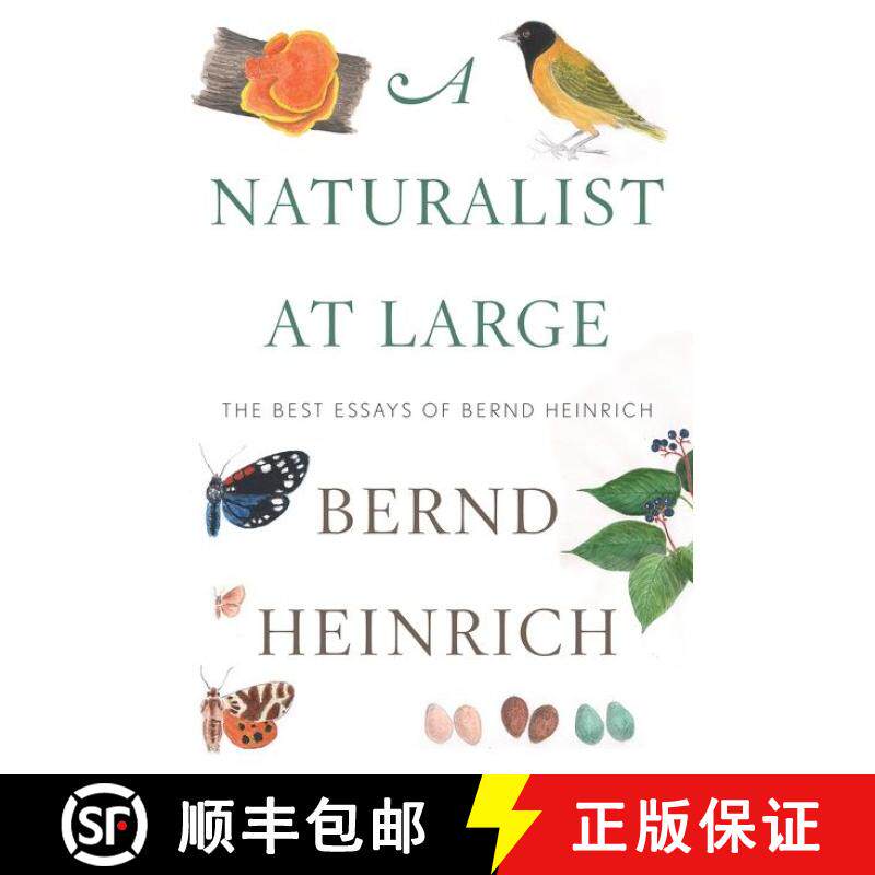【3-4周达】精装 Naturalist At Large: The Best Essays of Bernd Heinrich: The Best Essays of Bernd Hein... [9780544986831]图片