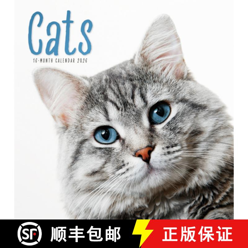 【2-3周达】Cats Square Wall Sunday Start Calendar 2 [9781529896602]