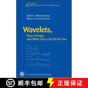 Lectures You What Mathematics Can and They EMS 4周达 Wavelets Series 9783037190180 for Friends Their
