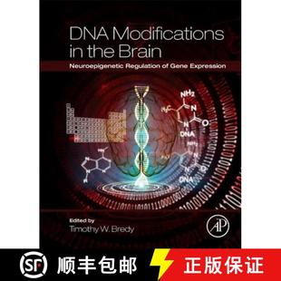 DNA 9780128015964 Expression Neuroepigenetic 4周达 Regulation Modifications Gene the Brain
