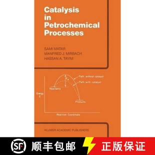 Catalysis 4周达 Petrochemical 9789027727213 Processes