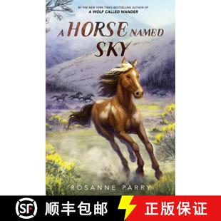 4周达 Horse Named 9780062995964 Sky