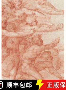 米开朗基罗 Michelangelo: Divine Draftsman and Designer [9781588396372]