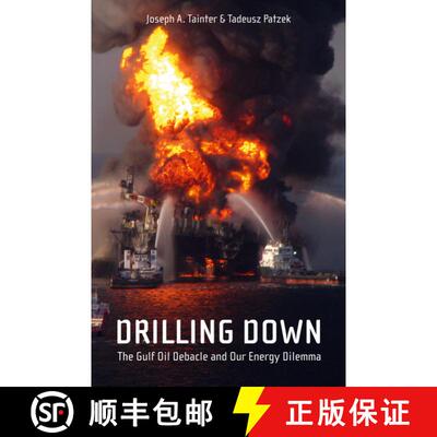 【3-4周达】Drilling Down : The Gulf Oil Debacle and Our Energy Dilemma [9781441976765]