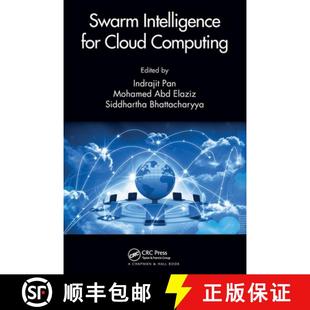Swarm Intelligence for Computing 4周达 Cloud 9780367517588
