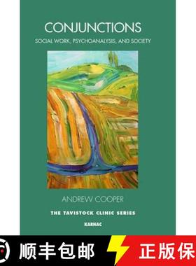 【3-4周达】Conjunctions: Between Social Work, Psychoanalysis, and Society [9781782203308]