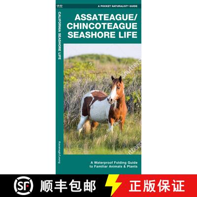 【3-4周达】Assateague/Chincoteague Seashore Life : A Waterproof Folding Guide to Familiar Animals & P... [9781620055168]