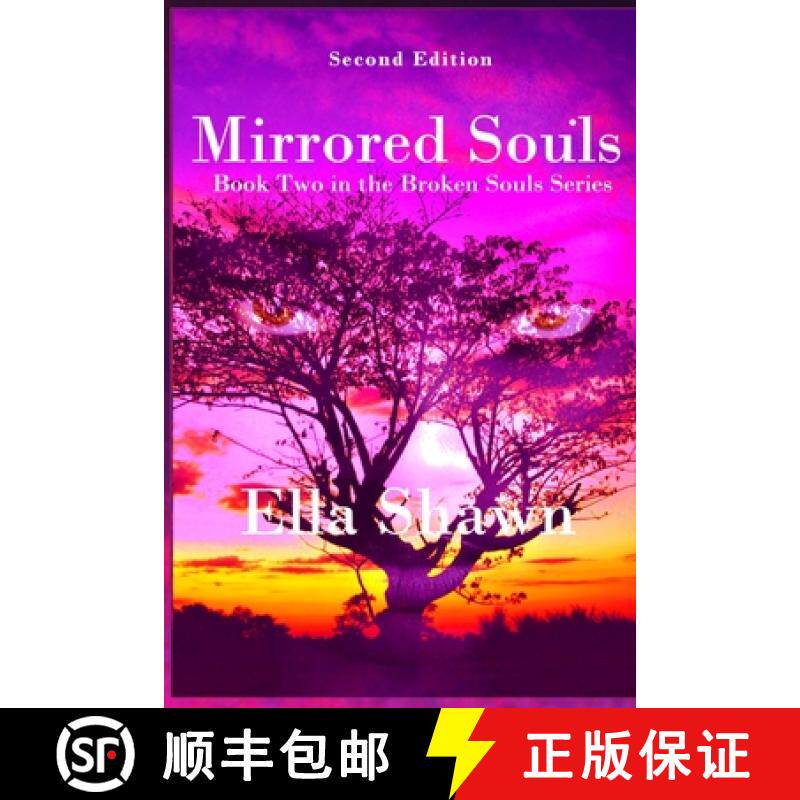 预订 Mirrored Souls [9781737014171]