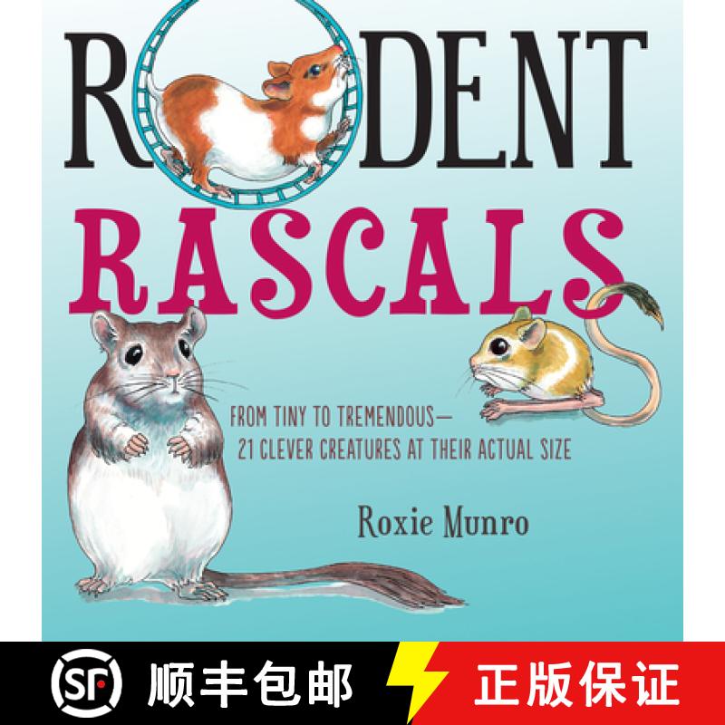 【3-4周达】Rodent Rascals: Clever Creatures at Their Actual Size [9780823447381]