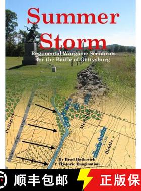 【3-4周达】Summer Storm: Regimental Wargame Scenarios For the Battle of Gettysburg [9780990412243]