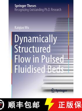 【3-4周达】Dynamically Structured Flow in Pulsed Fluidised Beds [9783030687540]