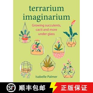 Cacti Growing and Glass Terrarium Under 3周达 9781800652187 Imaginarium More Succulents