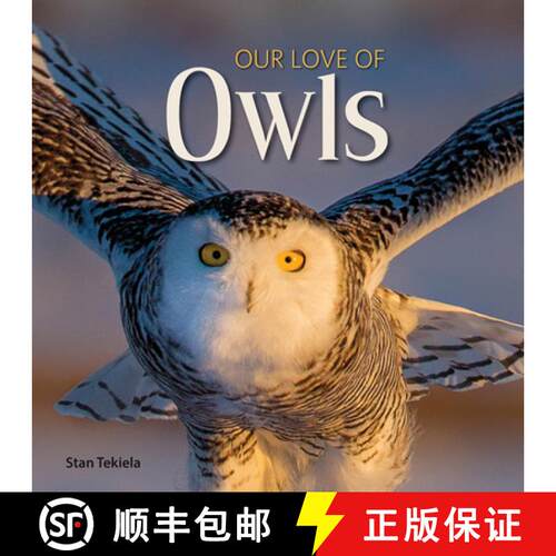 【3-4周达】精装 Our Love of Owls [9781591938132]