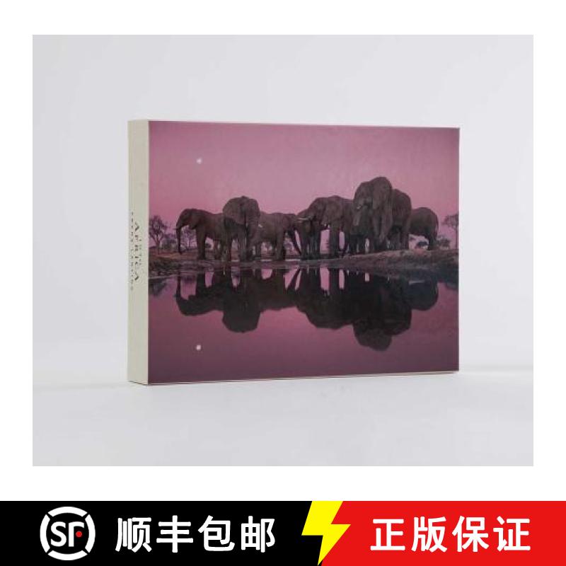 【2-3周达】Into Africa: Blank Boxed Notecards [9781608878864]