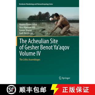 Site Benot 4周达 Acheulian Lithic 9783030089078 The aqov Gesher Assemblages Volume