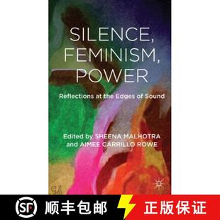 Power the Sound Silence 4周达 9781137002365 Feminism Edges Reflections
