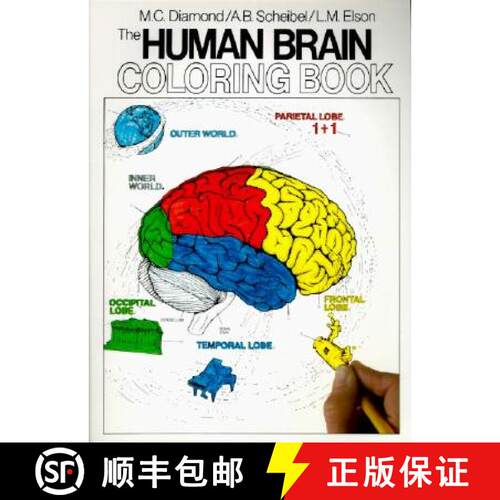 【3-4周达】The Human Brain Coloring Book: A Coloring Book [9780064603065]
