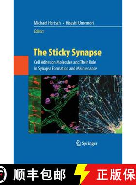 【3-4周达】The Sticky Synapse : Cell Adhesion Molecules and Their Role in Synapse Formation and Maint... [9781489982896]