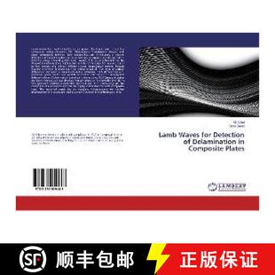 Plates for Delamination Waves Detection 9783330059443 预订 Composite Lamb