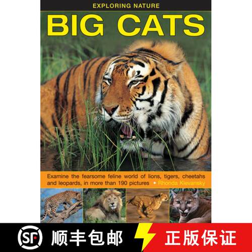 【3-4周达】精装 Exploring Nature: Big Cats: Examine the Fearsome Feline World of Lions, Tigers, Cheet... [9781861474063]