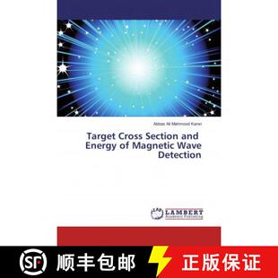 Detection Section Magnetic Energy Cross and 9786135838046 预订 Wave Target