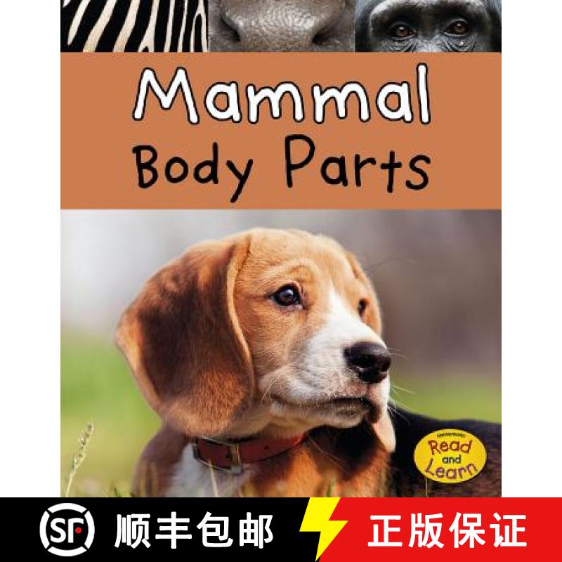 预订 Mammal Body Parts [9781484625590] - 实物图