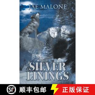 Linings Silver 4周达 9781910266854