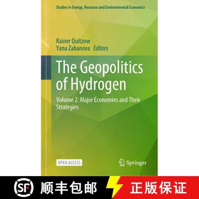 【3-4周达】The Geopolitics of Hydrogen : Volume 2: Major Economies and Their Strategies [9783031840210]