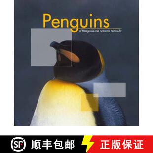 Penguins Peninsula 9789568007096 Antarctic 4周达 and Patagonia