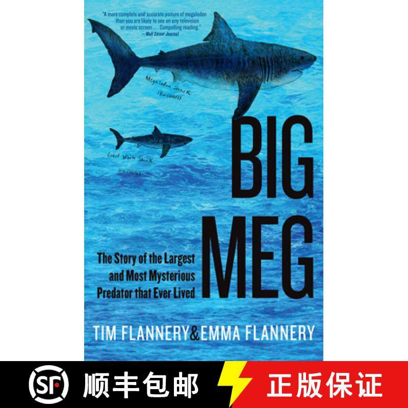 【3-4周达】Big Meg: The Story of the Largest and Most Mysterious Predator That Ever Lived [9780802164186]
