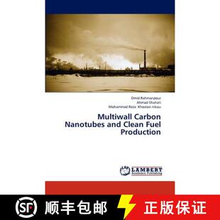 预订 Multiwall Carbon Nanotubes and Clean Fuel Production [9783846531051]