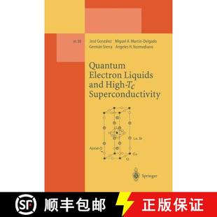 Liquids Quantum Superconductivity 9783662140123 High and Electron 4周达