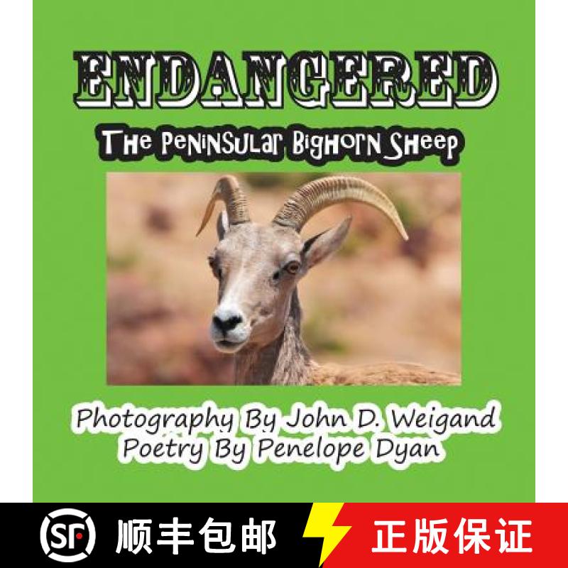 【2-3周达】Endangered--The Peninsular Bighorn Sheep [9781935630104]