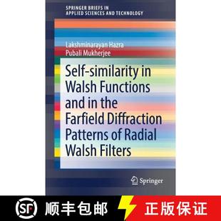 Walsh Functions Self Radial Patterns and Wals... Farfield similarity Diffraction 4周达 9789811028083 the
