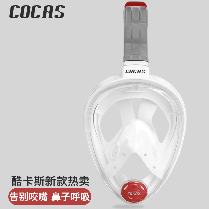 浮潜三宝面罩潜水镜全干式呼吸管成人近视防雾护鼻一体游泳蛙镜