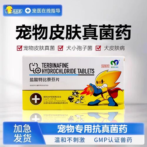 宠物狗狗犬皮肤病真细菌灭