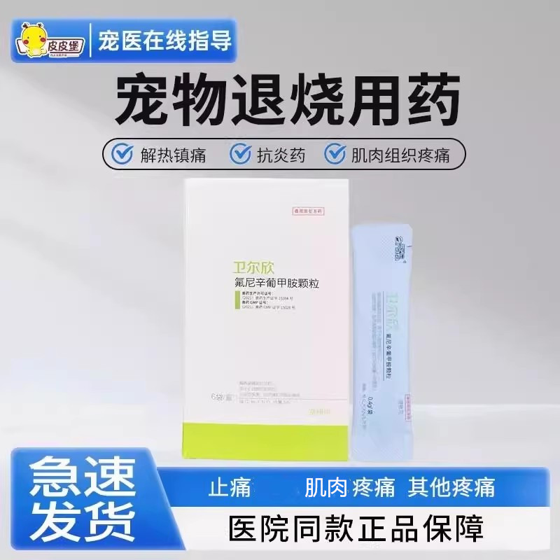 狗狗发热宠物止痛猫咪发热