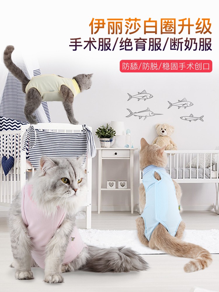 猫咪手术服绝育断奶服薄款四脚衣