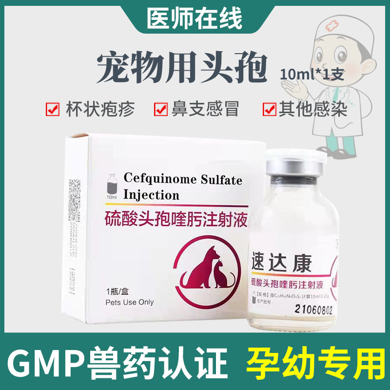 宠物犬猫狗头孢喹肟注射液皮肤病呼吸道泌尿感染消药炎针怀孕可用