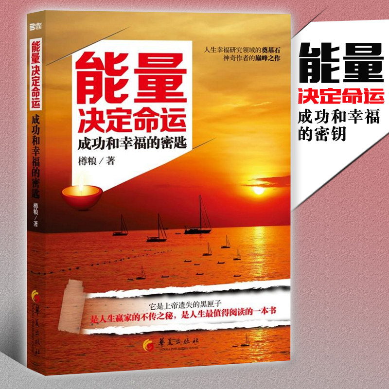 能量决定命运 励志书籍经管励志书自律书籍励志书励志书籍正能量心灵