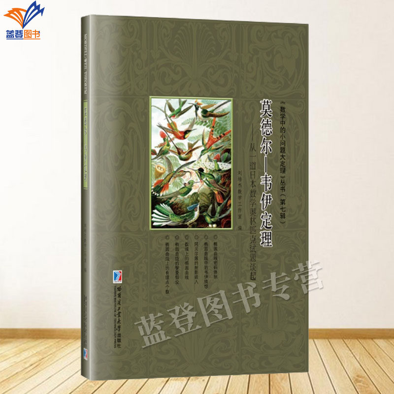 正版包邮莫德尔韦伊定理从一道日本数学奥林匹克竞赛试题谈起数学中的小问题大定理丛书第七辑刘培杰数学工作室哈尔滨工业大学出版
