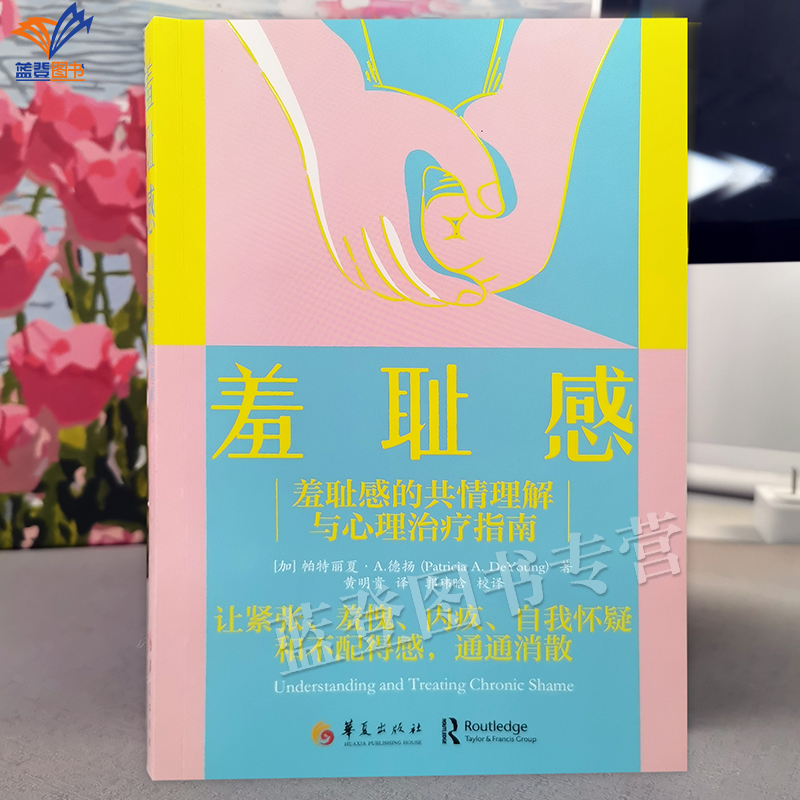 正版包邮羞耻感羞耻感的共情理解