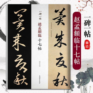 正版包邮赵孟頫临十七帖一碑一帖历代碑帖精粹中国碑帖名品临摹法书选拓本历代名家经典艺术书法篆刻碑帖书法教程书籍上海辞书出版